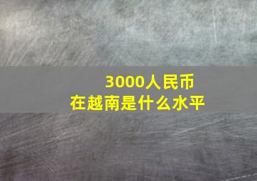 3000人民币在越南是什么水平