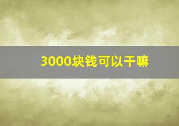 3000块钱可以干嘛