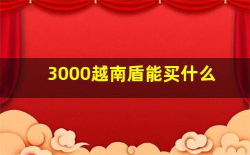 3000越南盾能买什么