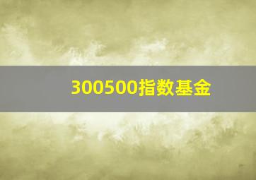 300500指数基金