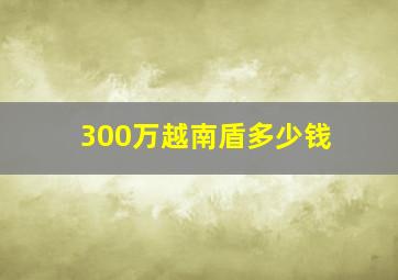 300万越南盾多少钱