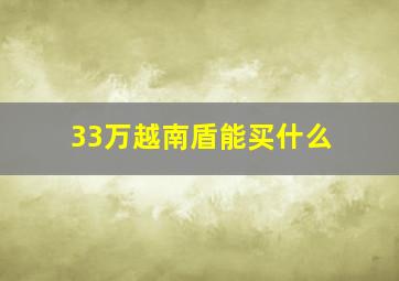 33万越南盾能买什么