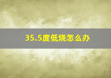 35.5度低烧怎么办