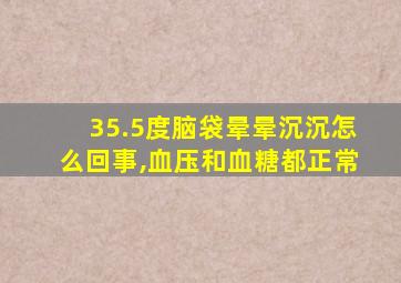 35.5度脑袋晕晕沉沉怎么回事,血压和血糖都正常