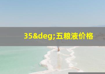 35°五粮液价格