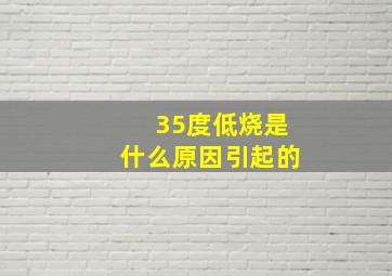 35度低烧是什么原因引起的