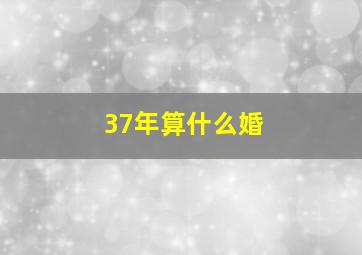 37年算什么婚