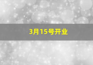 3月15号开业