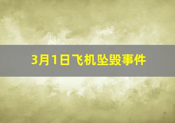 3月1日飞机坠毁事件