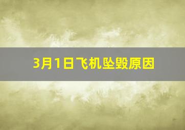 3月1日飞机坠毁原因