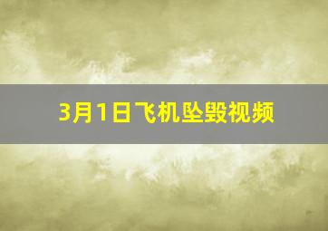 3月1日飞机坠毁视频