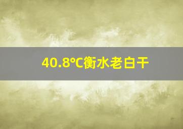 40.8℃衡水老白干