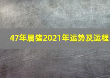 47年属猪2021年运势及运程