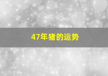 47年猪的运势