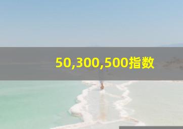 50,300,500指数