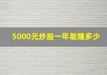 5000元炒股一年能赚多少