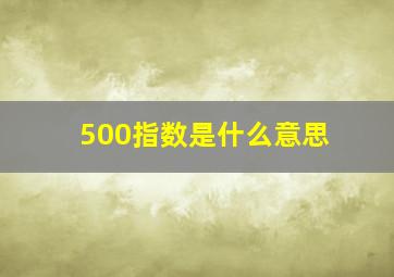 500指数是什么意思