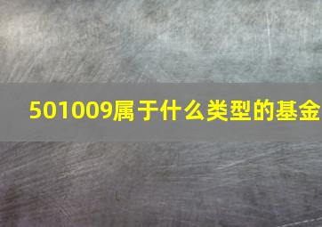 501009属于什么类型的基金