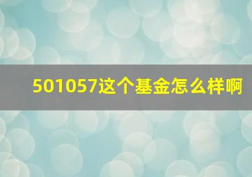 501057这个基金怎么样啊