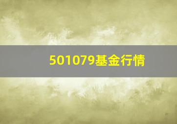 501079基金行情