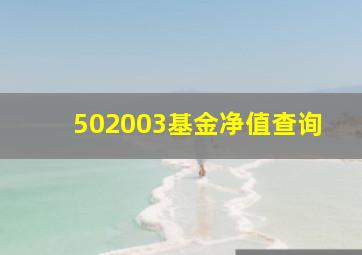 502003基金净值查询