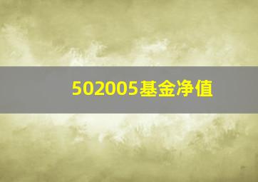 502005基金净值