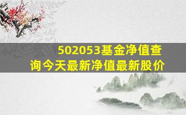 502053基金净值查询今天最新净值最新股价