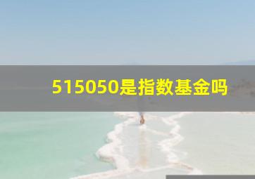 515050是指数基金吗