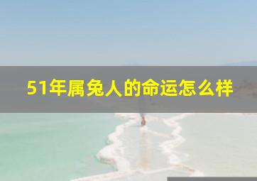 51年属兔人的命运怎么样