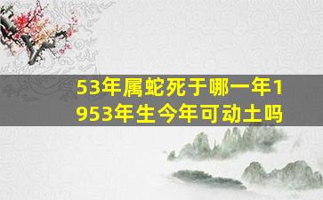 53年属蛇死于哪一年1953年生今年可动土吗