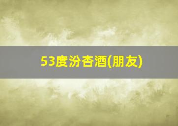 53度汾杏酒(朋友)