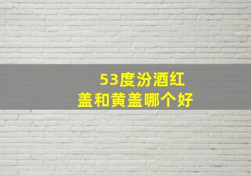 53度汾酒红盖和黄盖哪个好