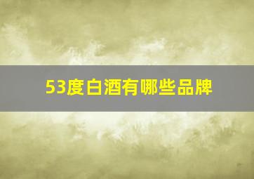 53度白酒有哪些品牌