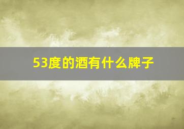 53度的酒有什么牌子