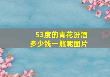 53度的青花汾酒多少钱一瓶呢图片