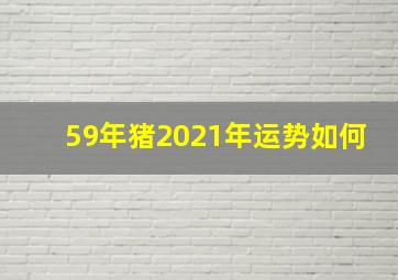 59年猪2021年运势如何