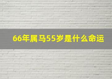 66年属马55岁是什么命运