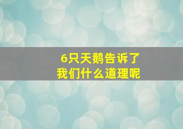 6只天鹅告诉了我们什么道理呢