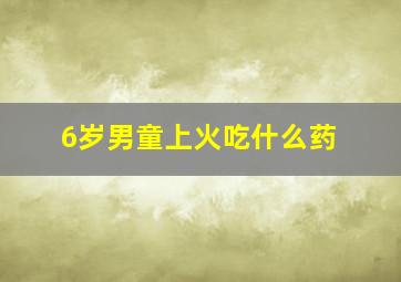 6岁男童上火吃什么药