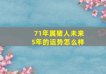 71年属猪人未来5年的运势怎么样