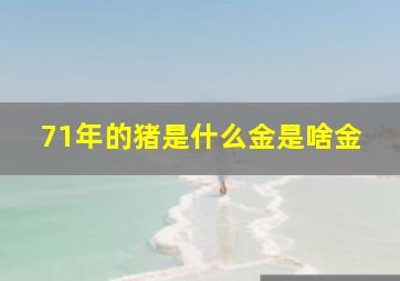 71年的猪是什么金是啥金