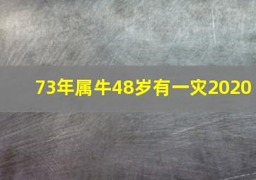 73年属牛48岁有一灾2020