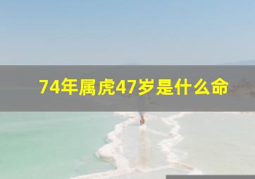 74年属虎47岁是什么命