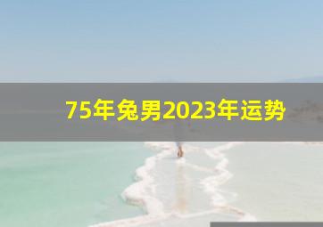 75年兔男2023年运势