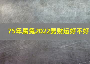 75年属兔2022男财运好不好