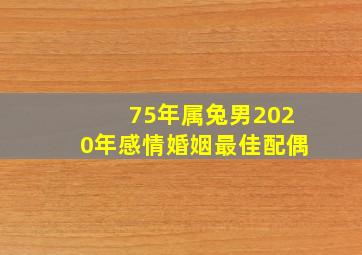 75年属兔男2020年感情婚姻最佳配偶