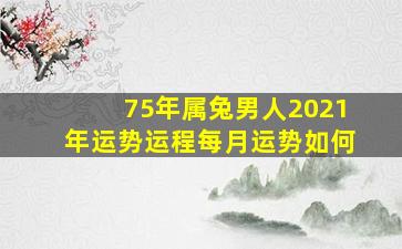 75年属兔男人2021年运势运程每月运势如何