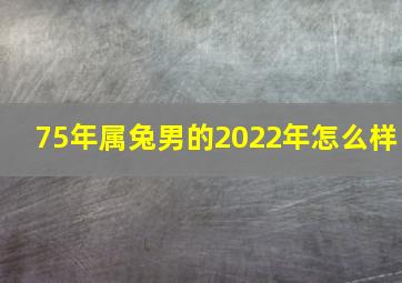 75年属兔男的2022年怎么样