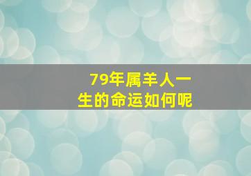 79年属羊人一生的命运如何呢