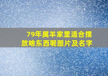 79年属羊家里适合摆放啥东西呢图片及名字